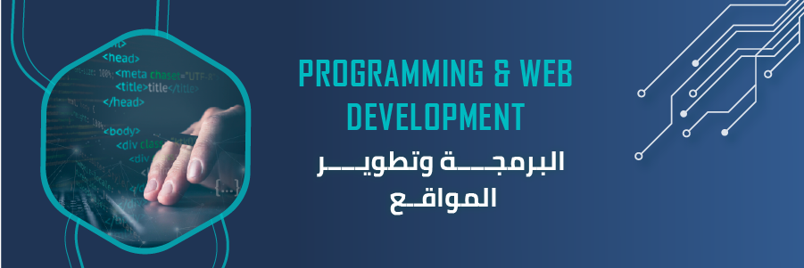 Professional Web Development and Custom Websites | DigiCode