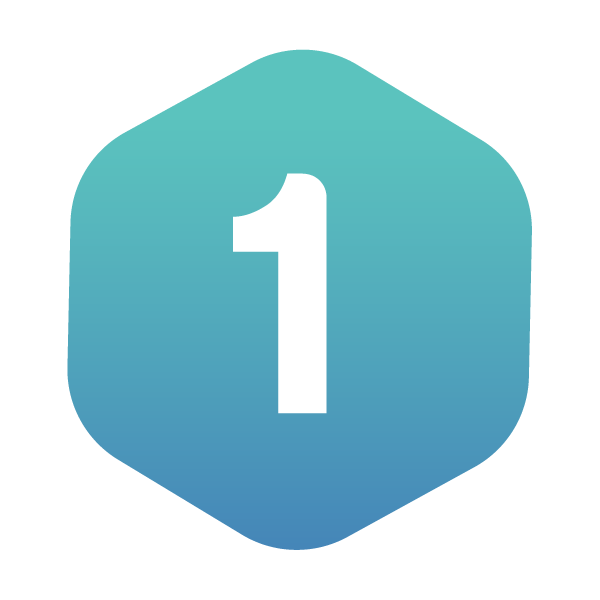 Web Development & Programming icon1