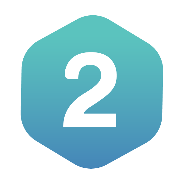 Web Development & Programming icon2