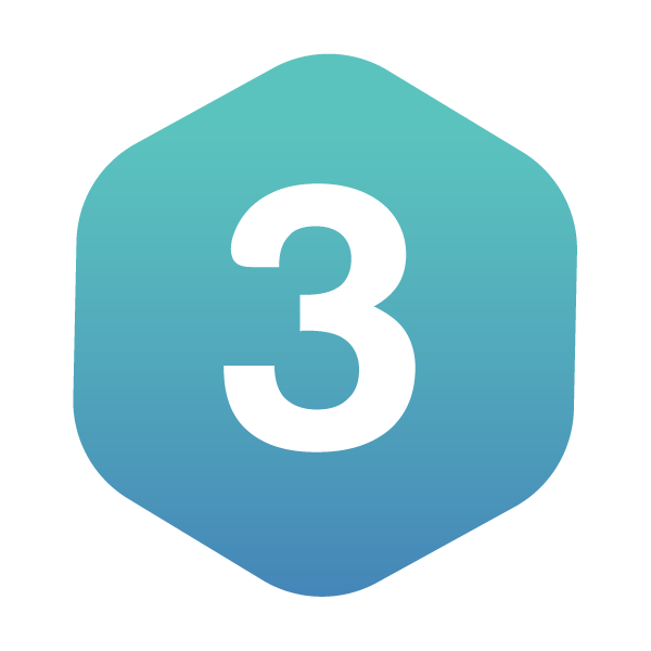 Web Development & Programming icon3